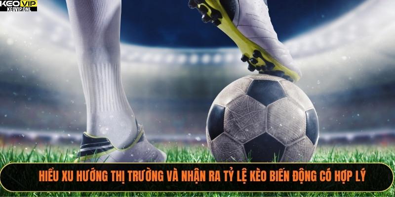Hiểu xu hướng thị trường và nhận ra tỷ lệ kèo biến động có hợp lý