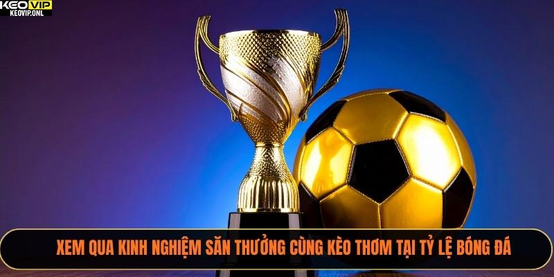 Xem qua kinh nghiệm săn thưởng cùng kèo thơm tại Tỷ Lệ Bóng Đá