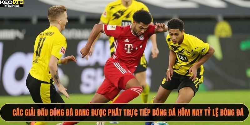 Các giải đấu bóng đá đang được phát trực tiếp bóng đá hôm nay Tỷ Lệ Bóng Đá