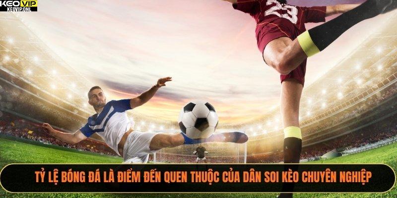 Tỷ Lệ Bóng Đá là điểm đến quen thuộc của dân soi kèo chuyên nghiệp