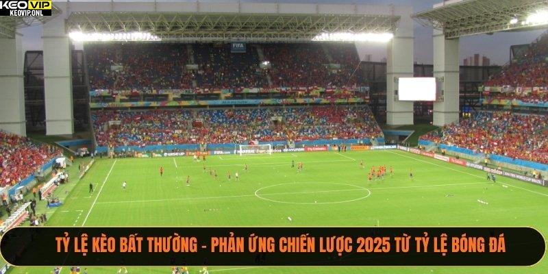Tỷ Lệ Kèo Bất Thường – Phản Ứng Chiến Lược 2025 Từ Tỷ Lệ Bóng Đá 1 Tỷ lệ kèo bất thường
