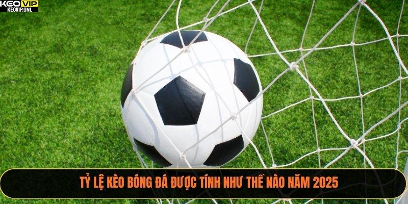 Tỷ Lệ Kèo Bóng Đá Được Tính Như Thế Nào