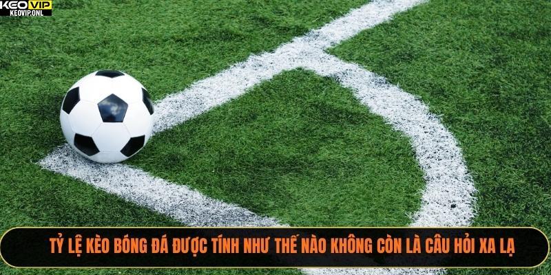 Tỷ lệ kèo bóng đá được tính như thế nào không còn là câu hỏi xa lạ