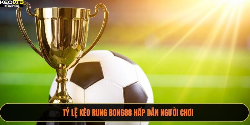 Tỷ lệ kèo rung bong88 hấp dẫn người chơi
