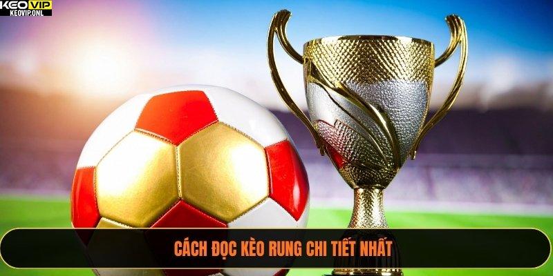 Cách đọc kèo rung chi tiết nhất