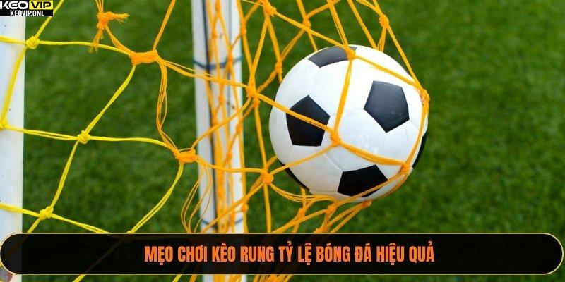 Mẹo chơi kèo rung Tỷ Lệ Bóng Đá hiệu quả