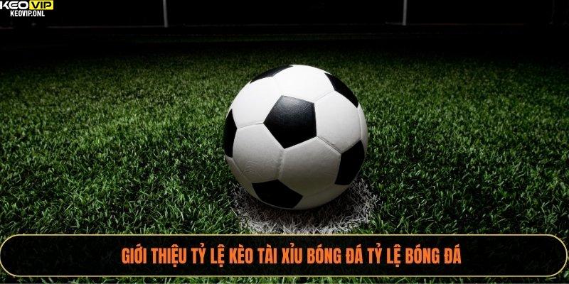 Giới thiệu tỷ lệ kèo tài xỉu bóng đá Tỷ Lệ Bóng Đá