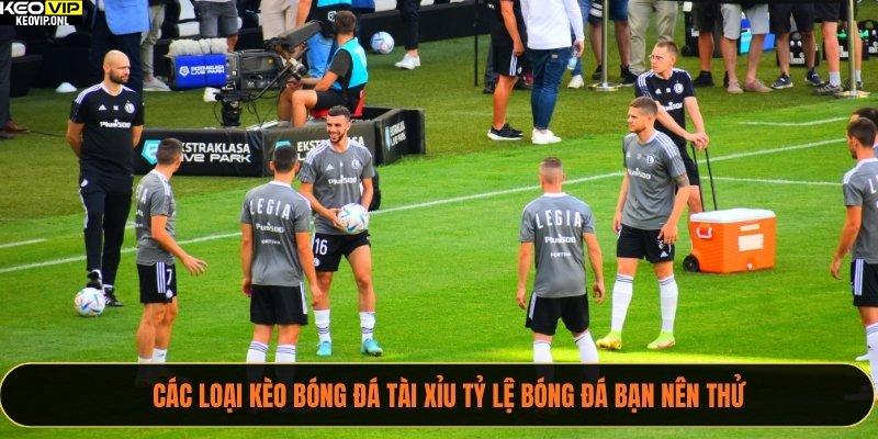 Các loại kèo bóng đá tài xỉu Tỷ Lệ Bóng Đá bạn nên thử